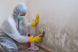 Biohazard Mold Removal in Mattoon, IL